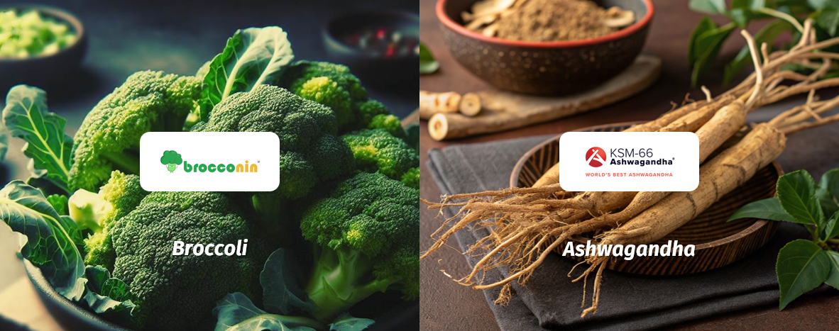 Brocconin™ & KSM-66® Ashwagandha: Patented Actives for Slowing Hair Greying and Revitalizing Scalp Health