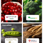 Patented ingredients - Pomanox, AnaGain, Brocconin, Ashwagandha - proven to help with scalp and hair health