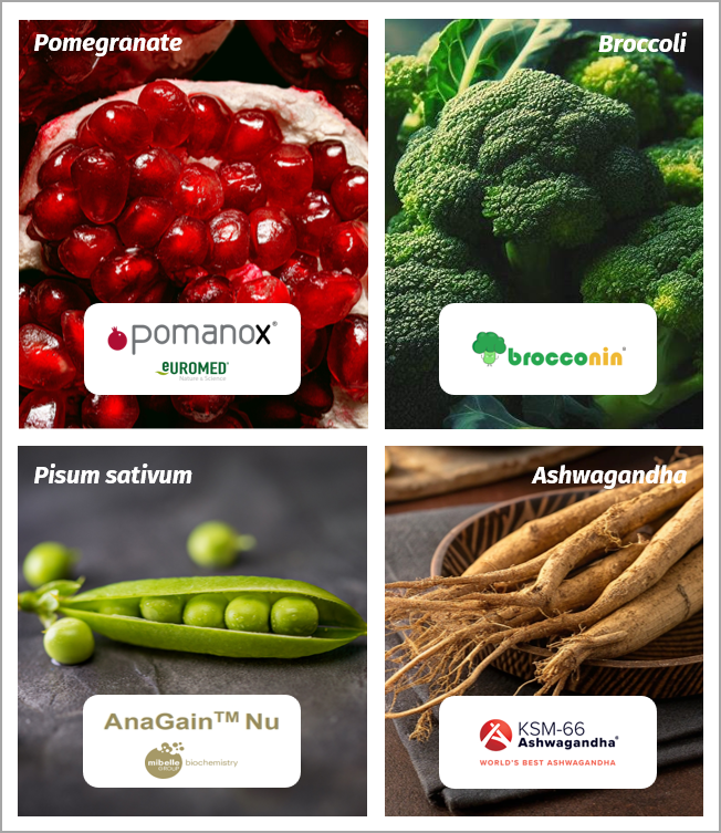 Patented ingredients - Pomanox, AnaGain, Brocconin, Ashwagandha - proven to help with scalp and hair health